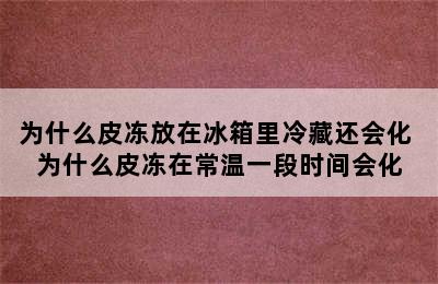 为什么皮冻放在冰箱里冷藏还会化 为什么皮冻在常温一段时间会化